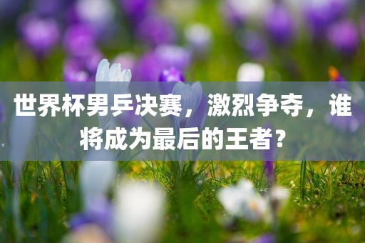 世界杯男乒决赛，激烈争夺，谁将成为最后的王者？