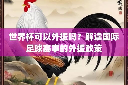 世界杯可以外援吗？解读国际足球赛事的外援政策