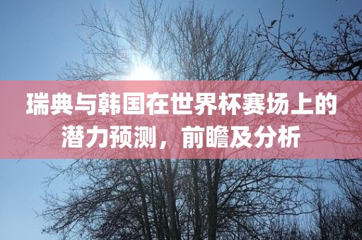 瑞典与韩国在世界杯赛场上的潜力预测，前瞻及分析