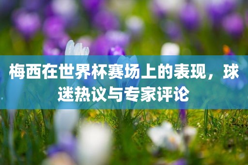 梅西在世界杯赛场上的表现，球迷热议与专家评论