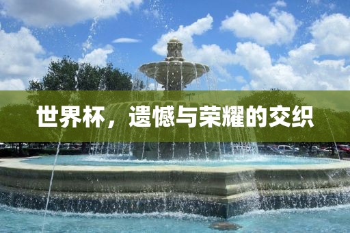 世界杯，遗憾与荣耀的交织