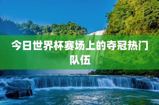今日世界杯赛场上的夺冠热门队伍
