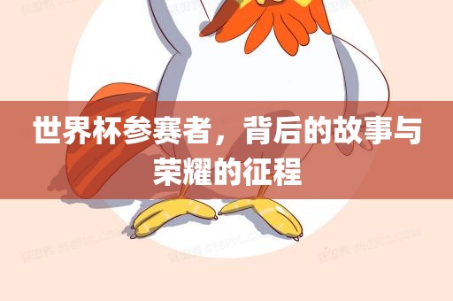 世界杯参赛者，背后的故事与荣耀的征程