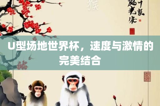 U型场地世界杯，速度与激情的完美结合