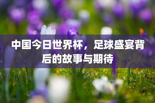 中国今日世界杯，足球盛宴背后的故事与期待