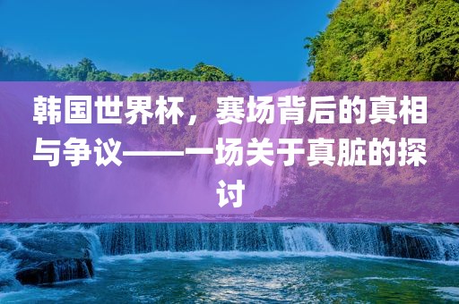 韩国世界杯，赛场背后的真相与争议——一场关于真脏的探讨