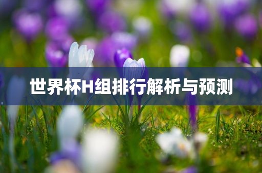 世界杯H组排行解析与预测