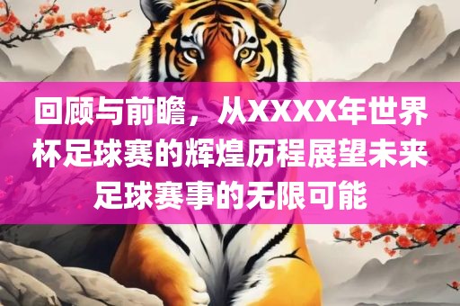 回顾与前瞻，从XXXX年世界杯足球赛的辉煌历程展望未来足球赛事的无限可能