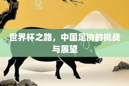 世界杯之路，中国足协的挑战与展望