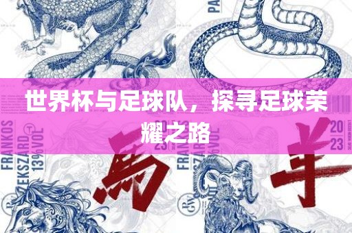 世界杯与足球队，探寻足球荣耀之路