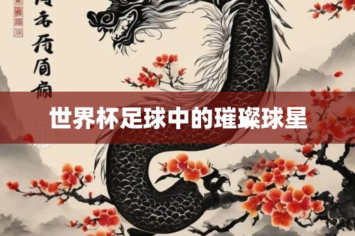 世界杯足球中的璀璨球星