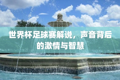 世界杯足球赛解说，声音背后的激情与智慧