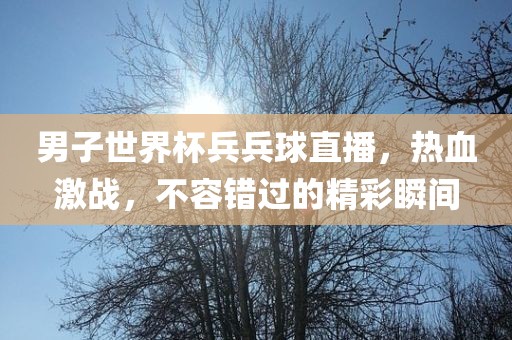 男子世界杯兵兵球直播，热血激战，不容错过的精彩瞬间