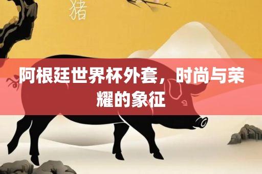 阿根廷世界杯外套，时尚与荣耀的象征
