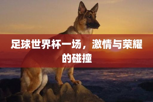 足球世界杯一场，激情与荣耀的碰撞