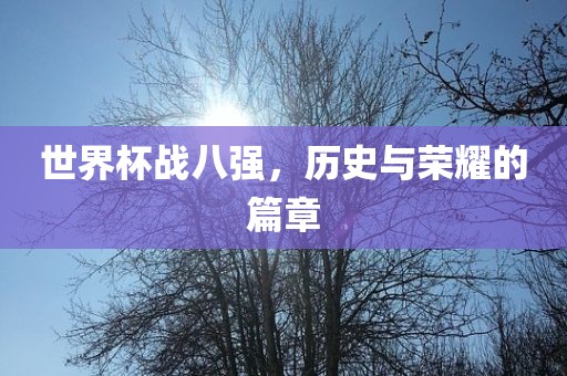 世界杯战八强，历史与荣耀的篇章