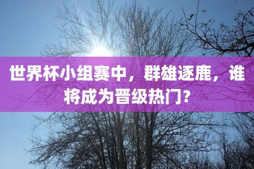 世界杯小组赛中，群雄逐鹿，谁将成为晋级热门？