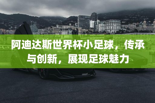 阿迪达斯世界杯小足球，传承与创新，展现足球魅力