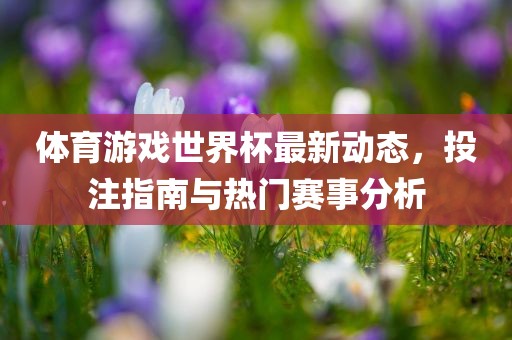 体育游戏世界杯最新动态，投注指南与热门赛事分析