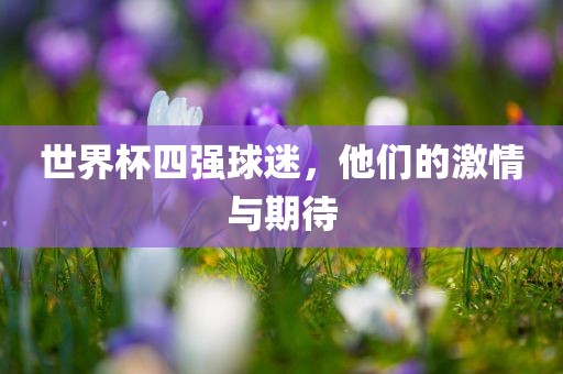 世界杯四强球迷，他们的激情与期待