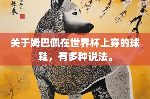 关于姆巴佩在世界杯上穿的球鞋，有多种说法。
