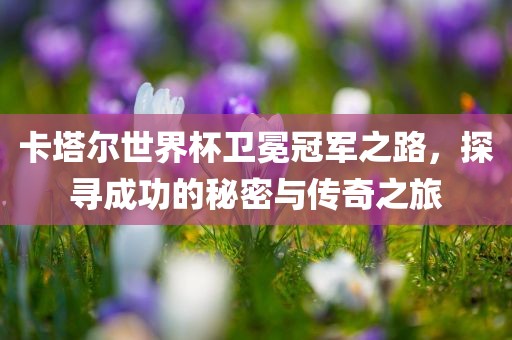卡塔尔世界杯卫冕冠军之路，探寻成功的秘密与传奇之旅