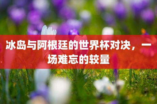 冰岛与阿根廷的世界杯对决，一场难忘的较量