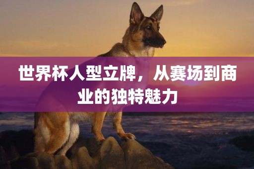 世界杯人型立牌，从赛场到商业的独特魅力