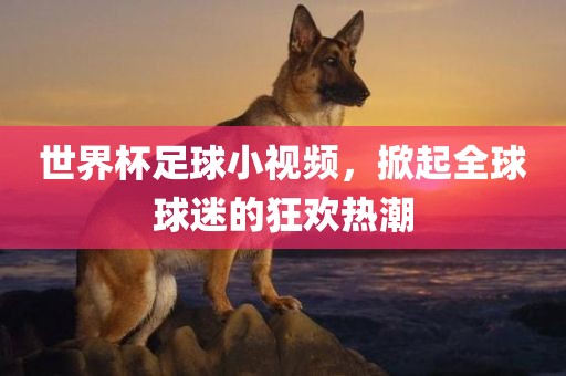 世界杯足球小视频，掀起全球球迷的狂欢热潮