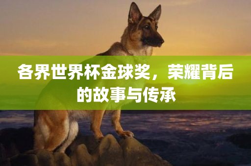 各界世界杯金球奖，荣耀背后的故事与传承