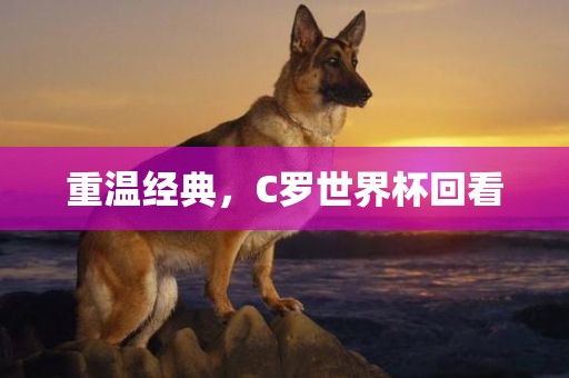 重温经典，C罗世界杯回看