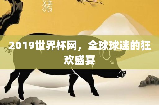 2019世界杯网，全球球迷的狂欢盛宴