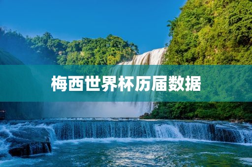 梅西世界杯历届数据
