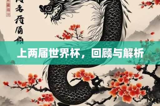 上两届世界杯，回顾与解析