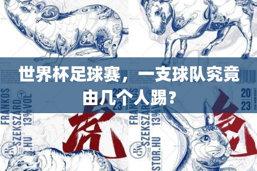 世界杯足球赛，一支球队究竟由几个人踢？