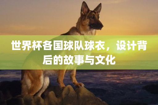 世界杯各国球队球衣，设计背后的故事与文化