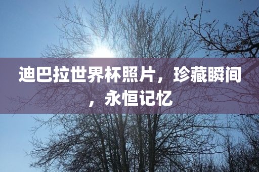 迪巴拉世界杯照片，珍藏瞬间，永恒记忆