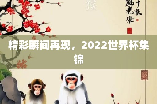 精彩瞬间再现，2022世界杯集锦