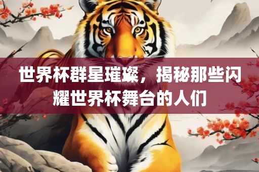 世界杯群星璀璨，揭秘那些闪耀世界杯舞台的人们