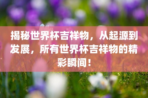 揭秘世界杯吉祥物，从起源到发展，所有世界杯吉祥物的精彩瞬间！