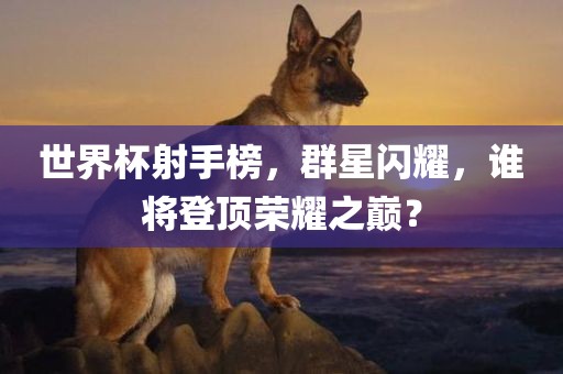 世界杯射手榜，群星闪耀，谁将登顶荣耀之巅？