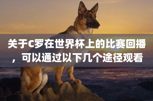 关于C罗在世界杯上的比赛回播，可以通过以下几个途径观看