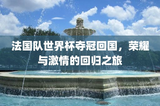 法国队世界杯夺冠回国，荣耀与激情的回归之旅