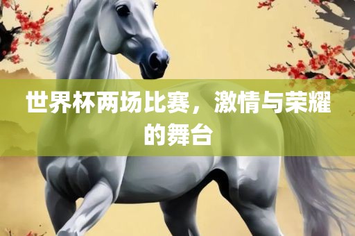 世界杯两场比赛，激情与荣耀的舞台