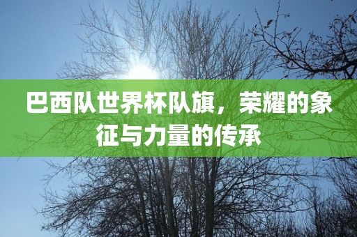 巴西队世界杯队旗，荣耀的象征与力量的传承