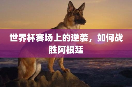 世界杯赛场上的逆袭，如何战胜阿根廷