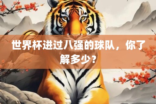 世界杯进过八强的球队，你了解多少？