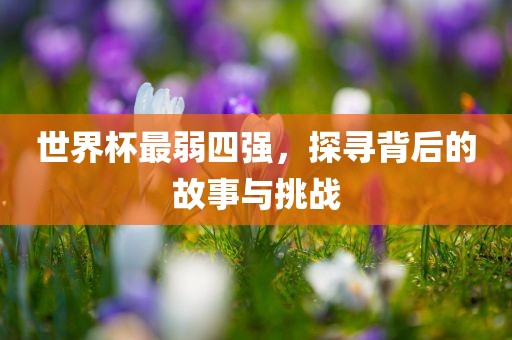 世界杯最弱四强，探寻背后的故事与挑战