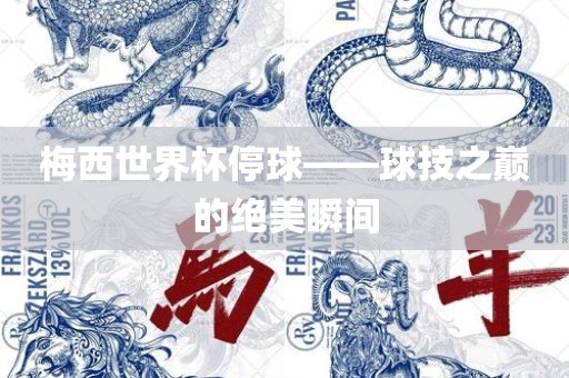 梅西世界杯停球——球技之巅的绝美瞬间