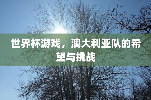 世界杯游戏，澳大利亚队的希望与挑战